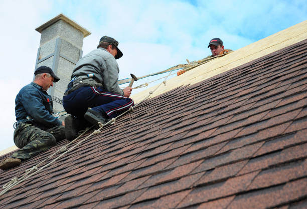 Best Shingle Roofing Installation  in Forsyth, MT