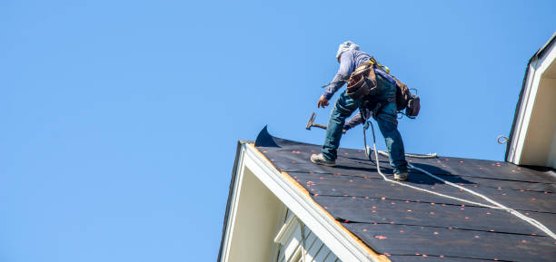 Best Roof Repair Services  in Forsyth, MT
